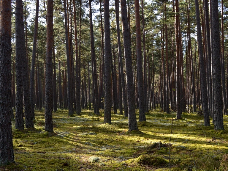 Par godu Slīteres Nacionālā parka 95.jubilejai notiks konference, kurā izvērtēs līdzšinējo ieguldījumu parka dibināšanas mērķu īstenošanā