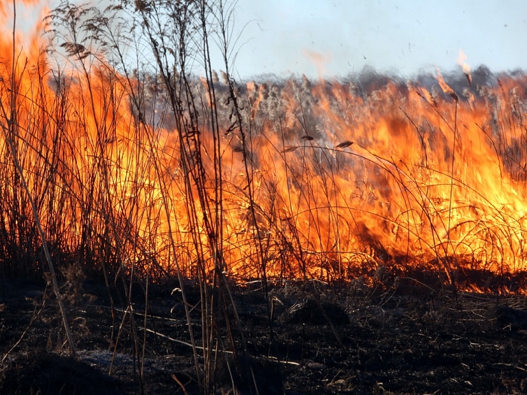 papildināta - Talsu novada pašvaldība lems par palīdzību ugunsgrēka dēļ bez pajumtes palikušai ģimenei