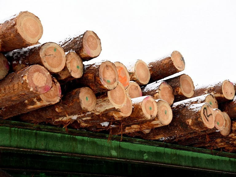 Decembra beigās Jēkabpils pašvaldība izsolīs koksni 13 100 eiro vērtībā
