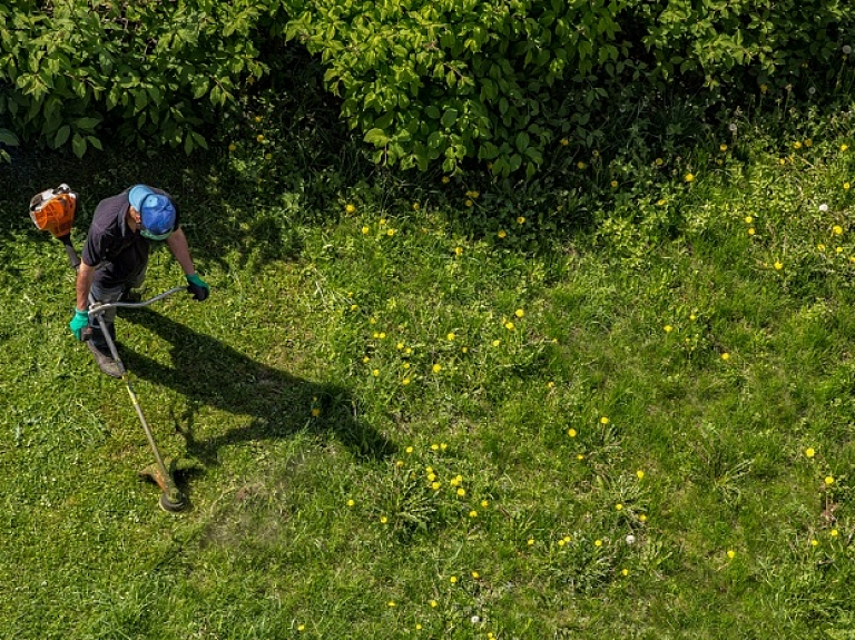 5  padomi, kas palīdzēs izvēlēties piemērotāko trimmeri

