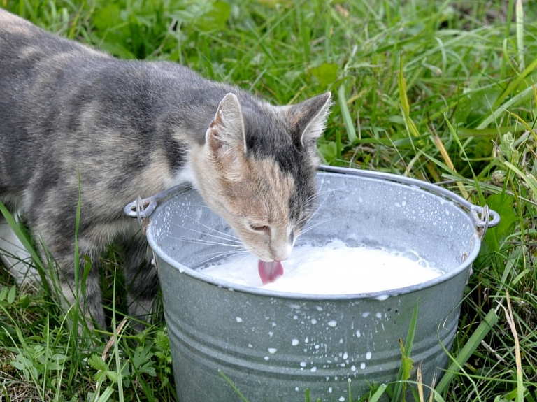 Piena pārstrādes uzņēmums "Baltic Dairy Board" sācis testa režīmā ražot bioloģiskos produktus