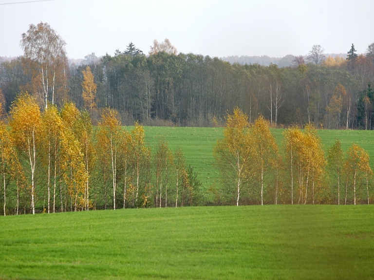 No "Dabas skaitīšanas" pērn apsekotajiem zālājiem vien 17% ir bioloģiski vērtīgi