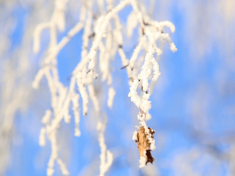 Gaisa temperatūra Vidzemē noslīdējusi līdz -10 grādiem