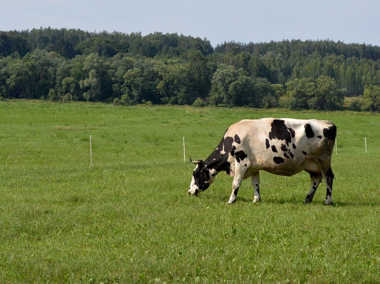 Rēzeknē notiks pasākums par godu Starptautiskajai bioloģiskās daudzveidības dienai