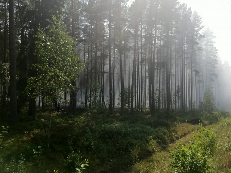 Kandavā turpinās bīstama meža ugunsgrēka ierobežošana