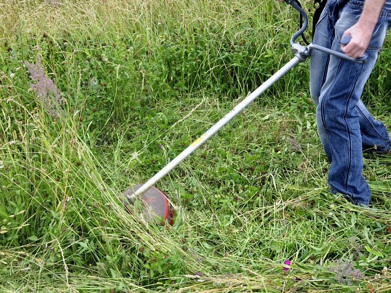 Jēkabpilī nedaudz pieaudzis vasarā nodarbināto skolēnu skaits