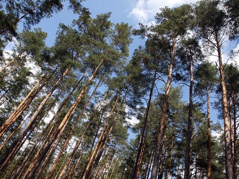 Pēterdienā atklās par 2,4 miljoniem eiro jaunuzcelto Rojas brīvdabas estrādi