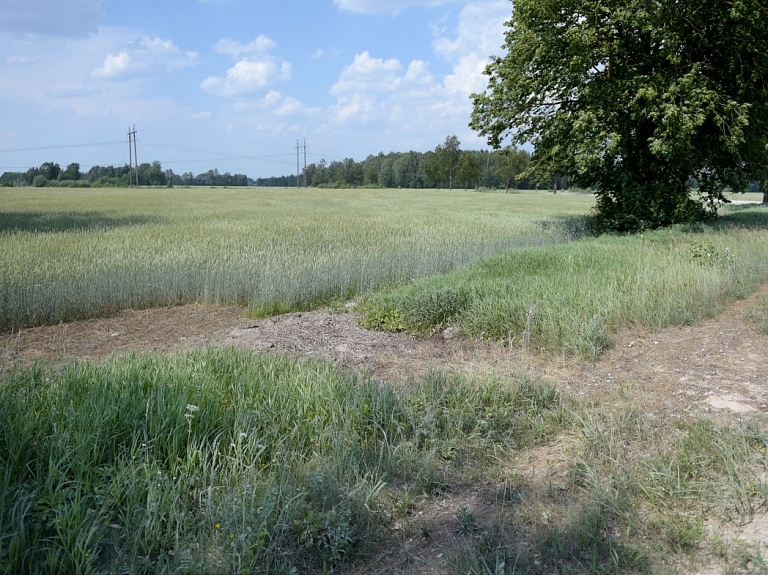 papildināta - "Biolars" sola sakārtot Zemgalē ar ķīmisko vielu piesārņotās vietas; darbi varētu izmaksāt līdz 400 000 eiro