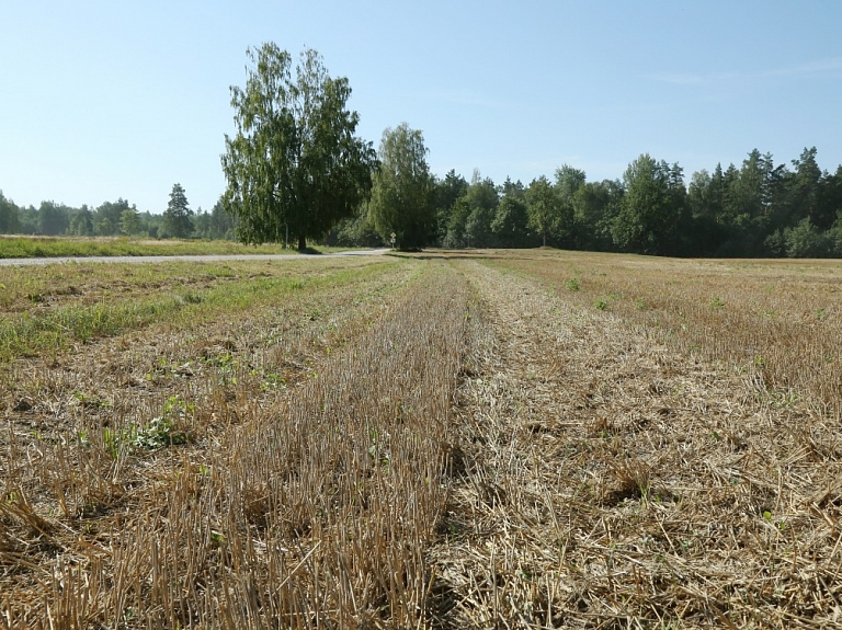 Latgalē dzēsti divi lieli labības rugāju ugunsgrēki