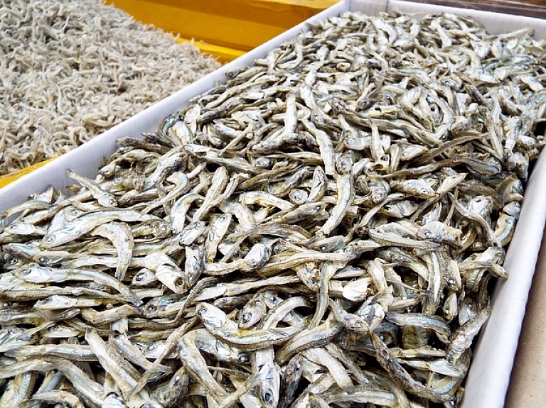 "Vlakon" plāno sākt realizēt gatavo zivju produkciju Vācijā