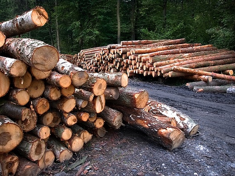 Pērn mežsaimniecības un kokapstrādes nozarē līdera pozīcijas saglabā "Latvijas valsts meži"