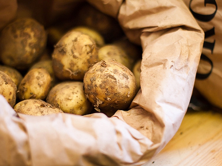 Kartupeļu cietes ražotāja "Aloja-Starkelsen" apgrozījums pagājušajā finanšu gadā saruka par 1,7%