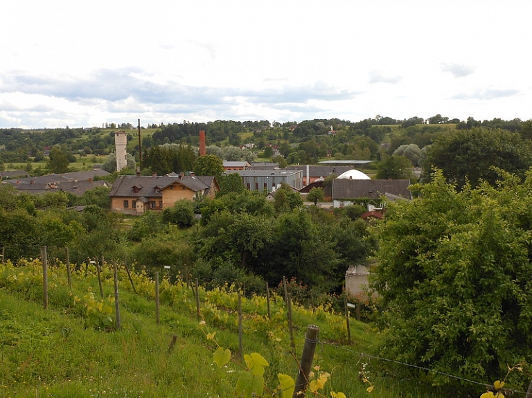 Sabiles Vīna kalns – vīna ražošana jau Livonijas laikos

