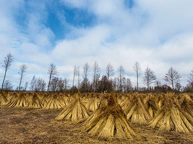 Kurzemes uzņēmums "Eco Roof" iekaro Eiropas tirgu