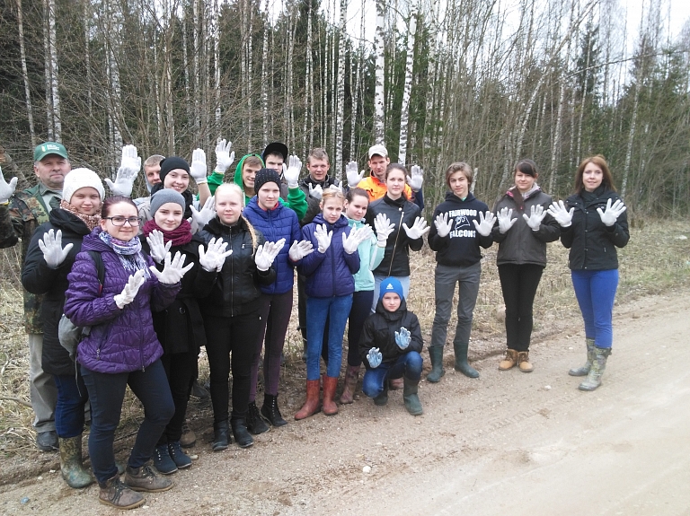 Vairāki simti priedītes meža atjaunošanai