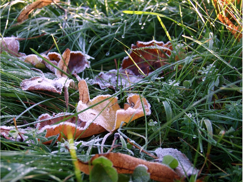 Ilustratīvs foto/ Foto: Valmiera24.lv