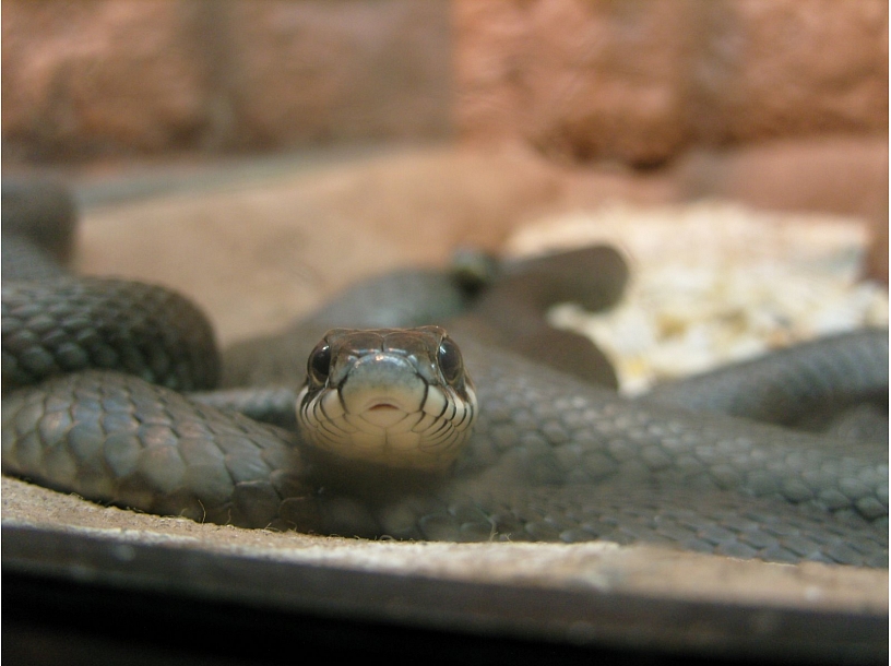 Ilustratīvs foto/ Foto: Stock.XCHNG