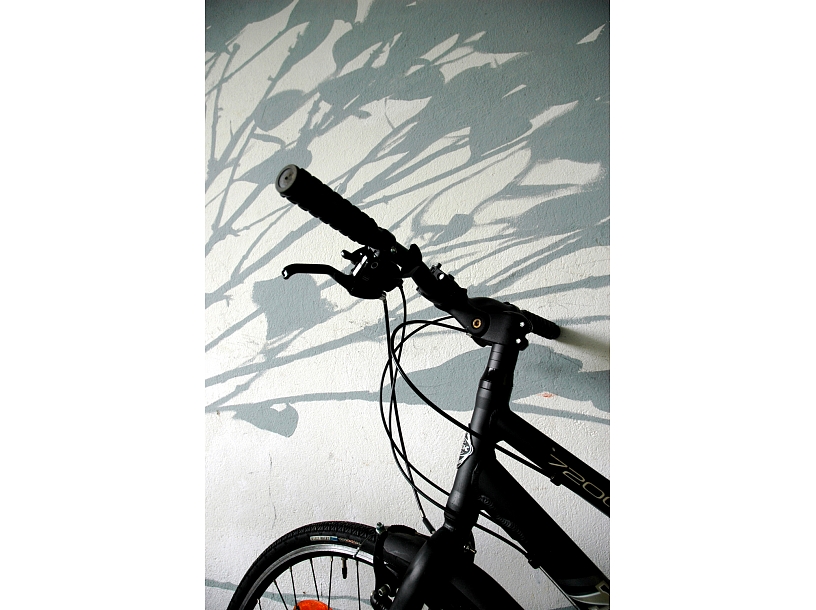 Ilustratīvs foto/ Foto: Stock.XCHNG