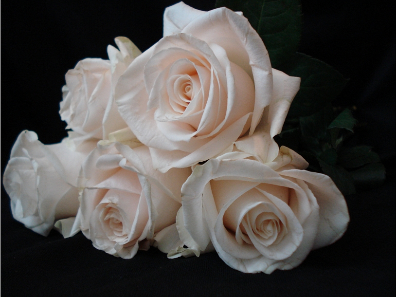 Ilustratīvs foto/ Foto: Stock.XCHNG