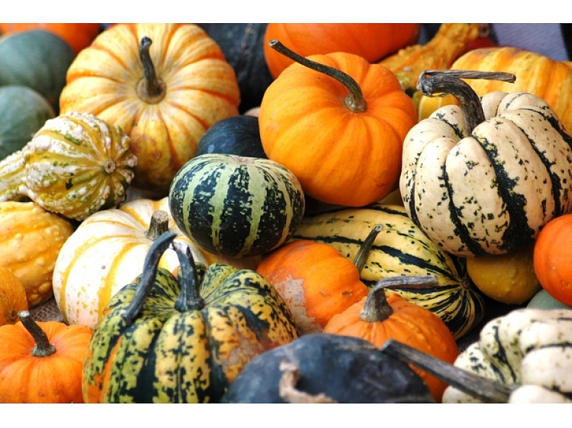 Ilustratīvs foto/ Foto: Stock.XCHNG