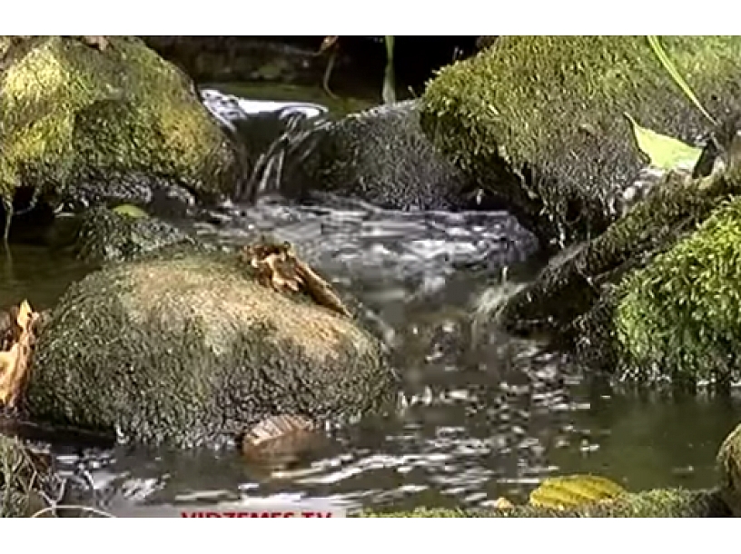 Foto no video