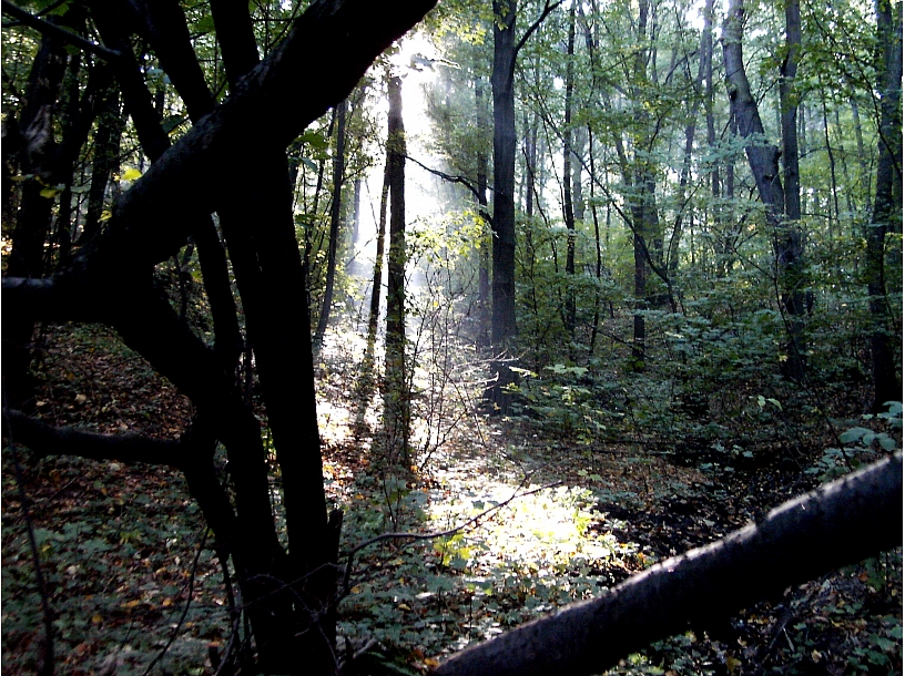 Ilustratīvs foto/ Foto: Stock.XCHNG