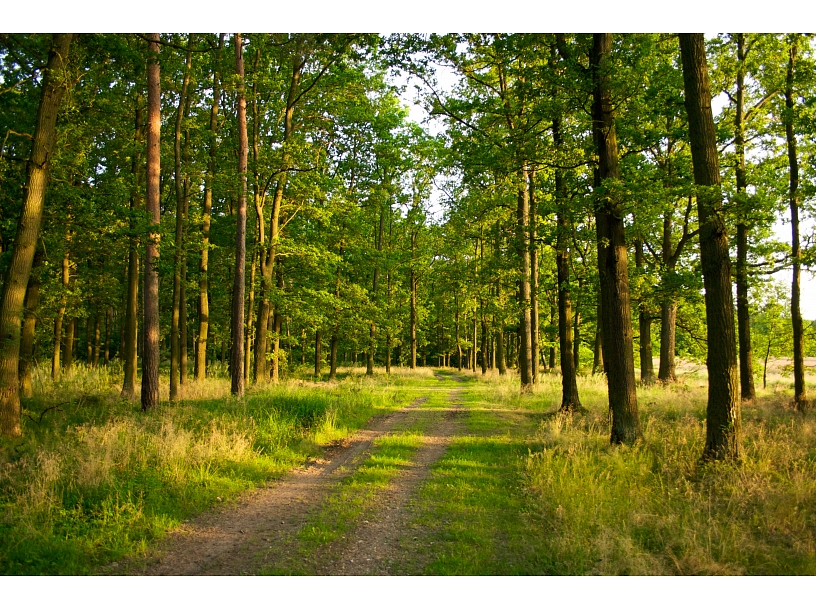 Ilustratīvs foto/ Foto: Stock.XCHNG