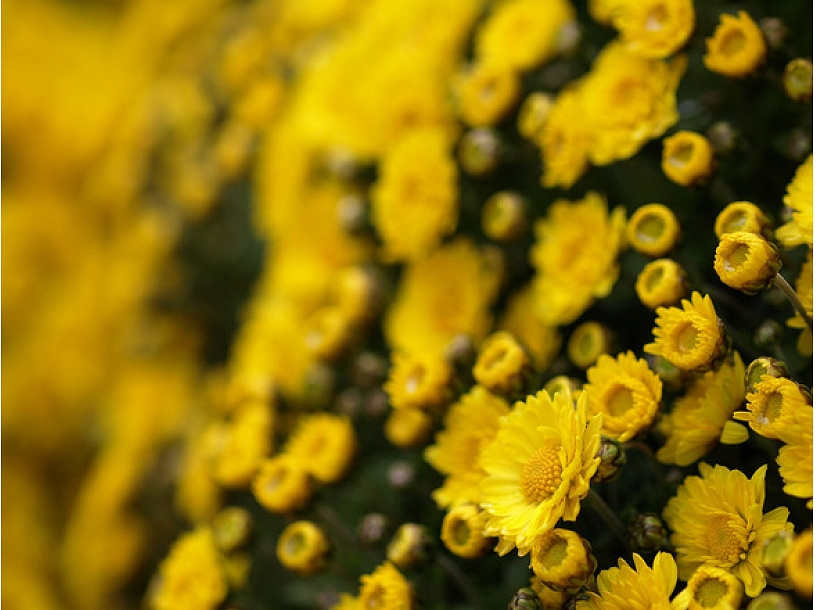 Ilustratīvs foto/ Foto: Stock.XCHNG