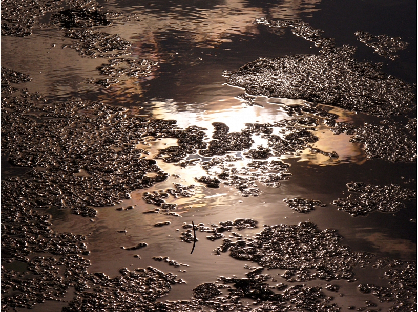 Ilustratīvs foto/ Foto: Stock.XCHNG