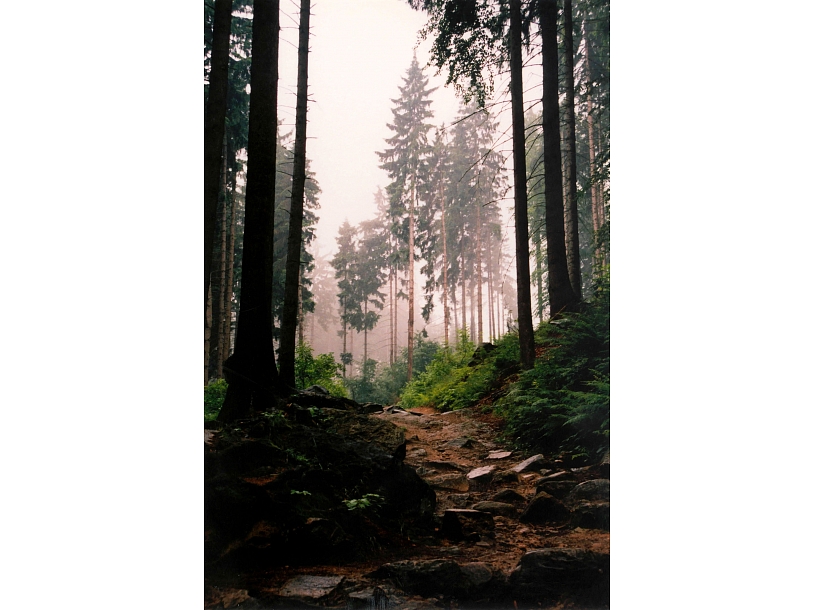 Ilustratīvs foto/ Foto: Stock.XCHNG