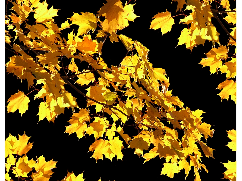 Ilustratīvs foto/ Foto: Stock.XCHNG
