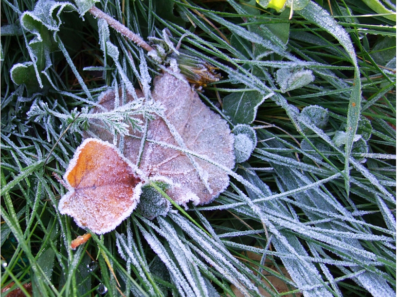 Foto: Gulbene24.lv