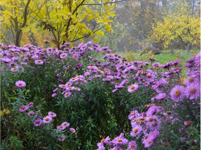 Foto: Valmiera24.lv