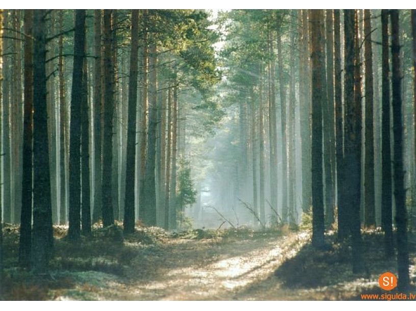 Foto: Sigulda.lv