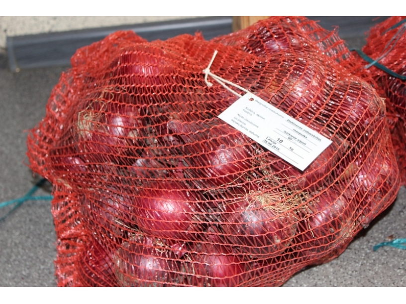 Foto: Laura Meščanova