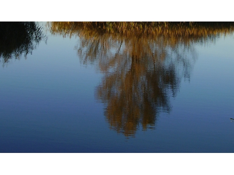 Ilustratīvs foto/ Foto: Stock.XCHNG