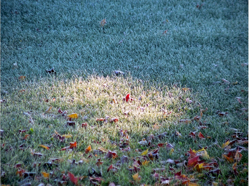 Ilustratīvs foto/ Foto: Stock.XCHNG