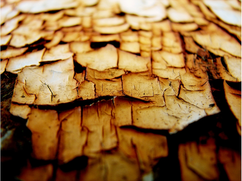 Ilustratīvs foto/ Foto: Stock.XCHNG