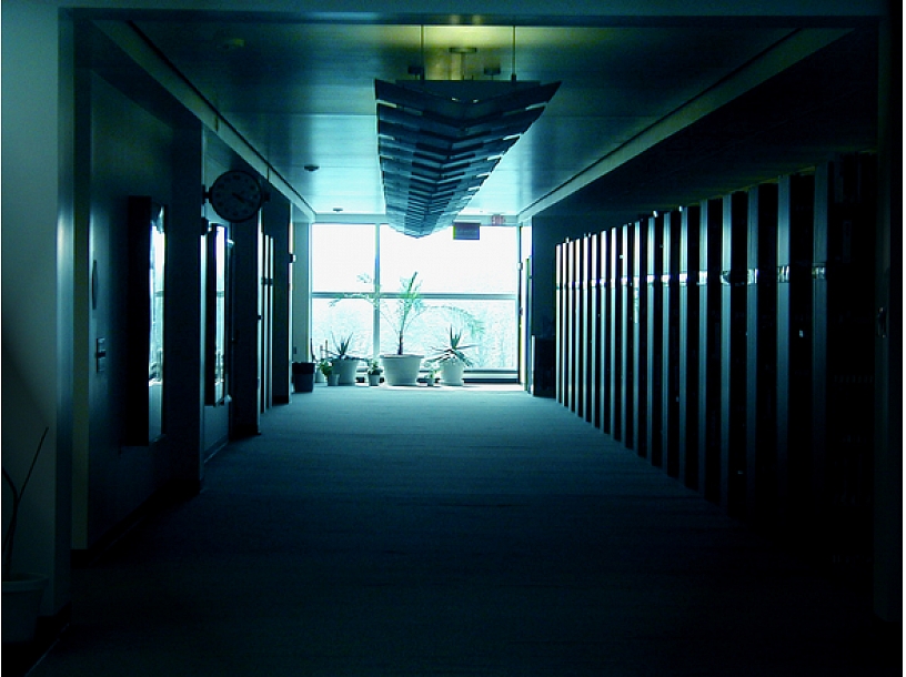 Ilustratīvs foto/ Foto: Stock.XCHNG