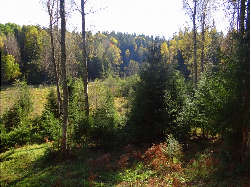 Ilustratīvs foto/ Foto: Balvi24.lv