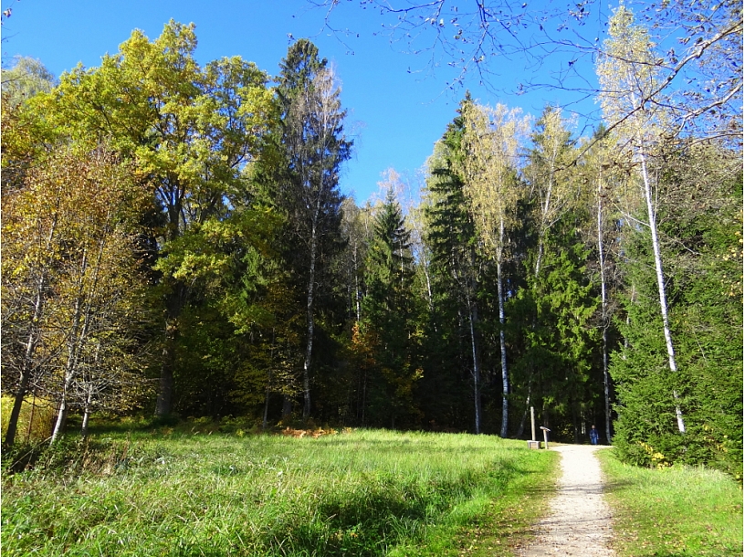 Ilustratīvs foto/ Foto: Sigulda24.lv