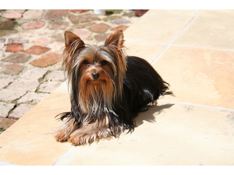 Ilustratīvs foto/ Foto: Stock.XCHNG