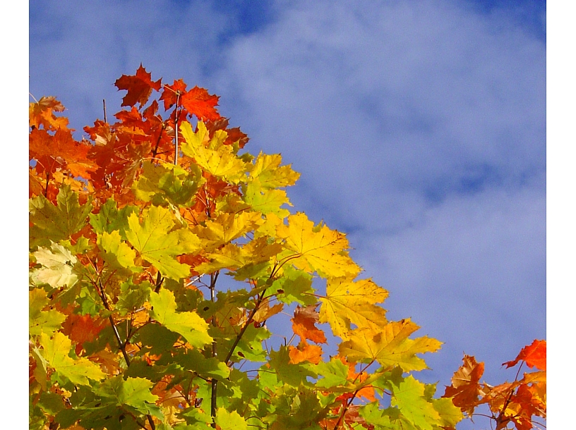 Ilustratīvs foto/ Foto: Stock.XCHNG