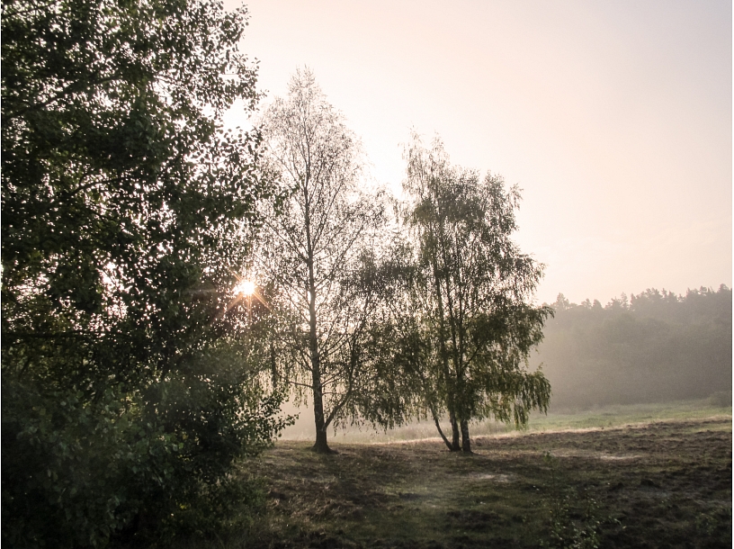 Ilustratīvs foto/ Foto: Stock.XCHNG