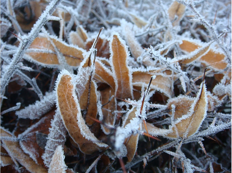 Ilustratīvs foto/ Foto: Stock.XCHNG