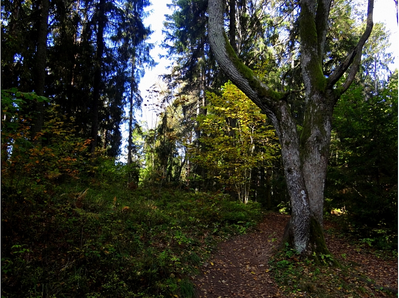 Foto: Ludza24.lv