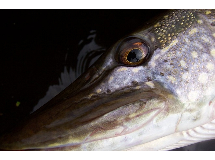 Ilustratīvs foto/ Foto: Stock.XCHNG