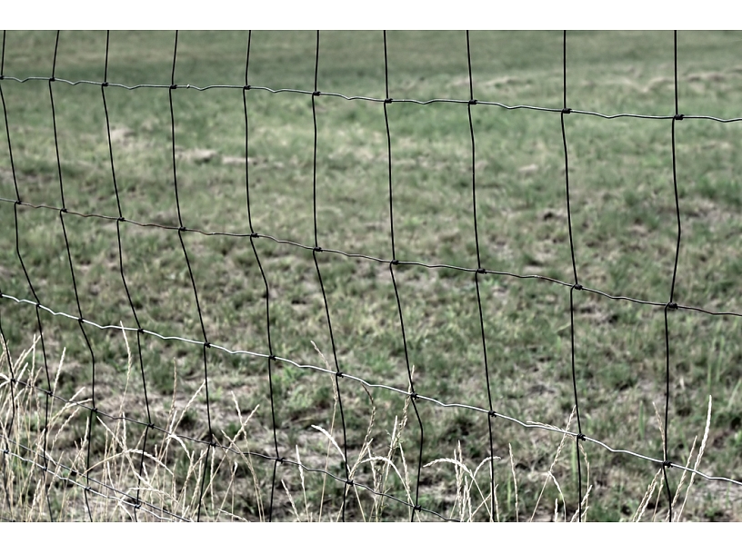 Ilustratīvs foto/ Foto: Stock.XCHNG