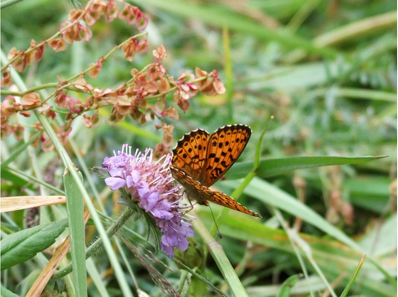 Foto: Saulkrasti24.lv