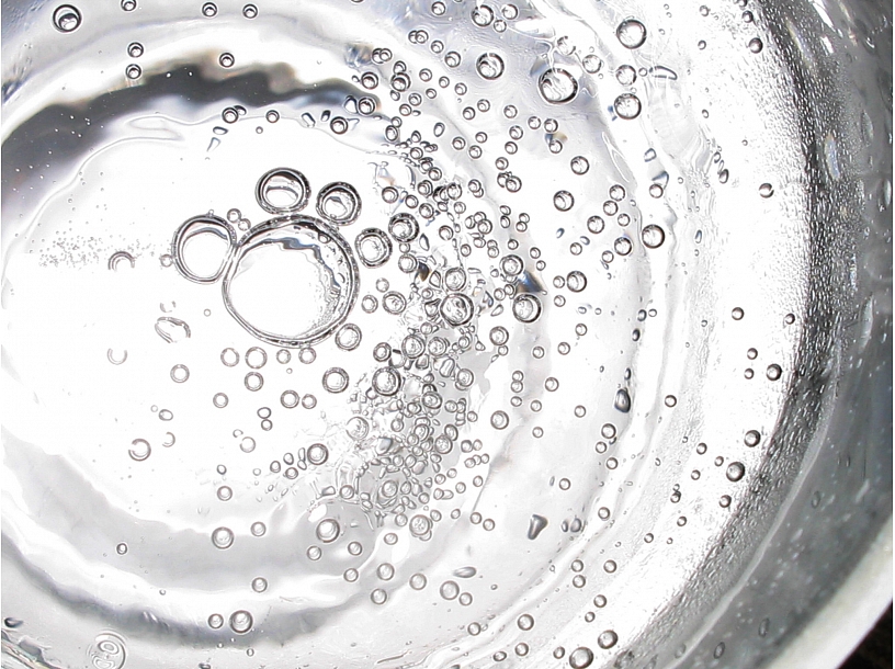 Ilustratīvs foto/ Foto: Stock.XCHNG